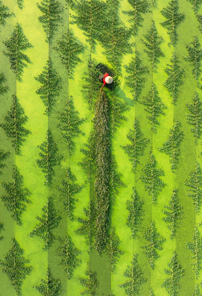 Photograph by Phuc Le