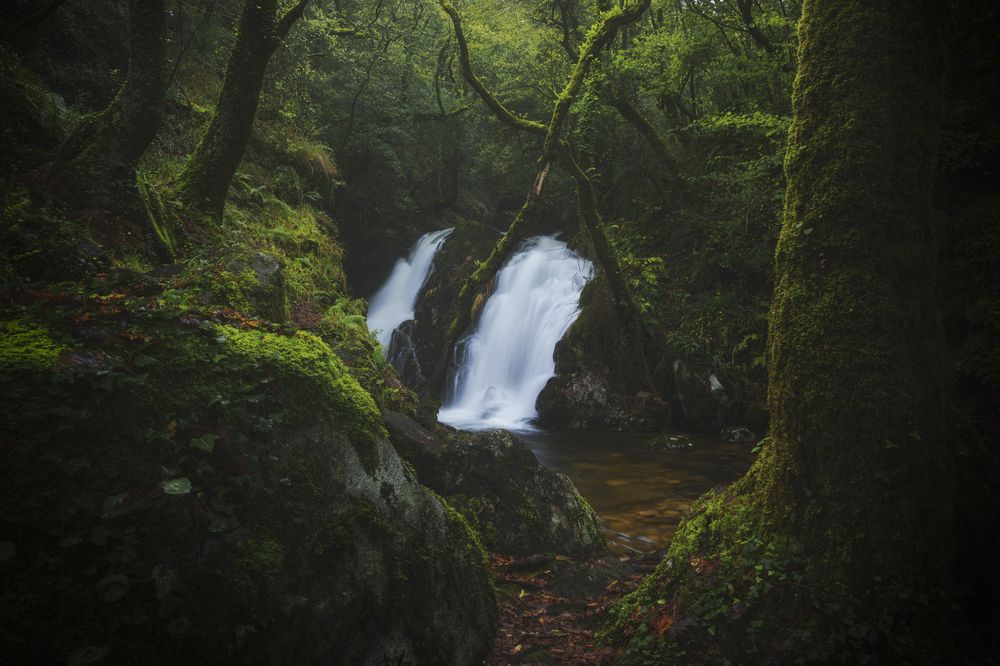 Photograph by Damian Varela