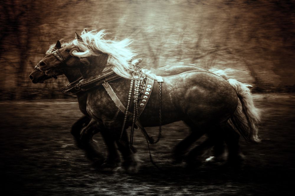 Photograph by Magdalena Kolenicova