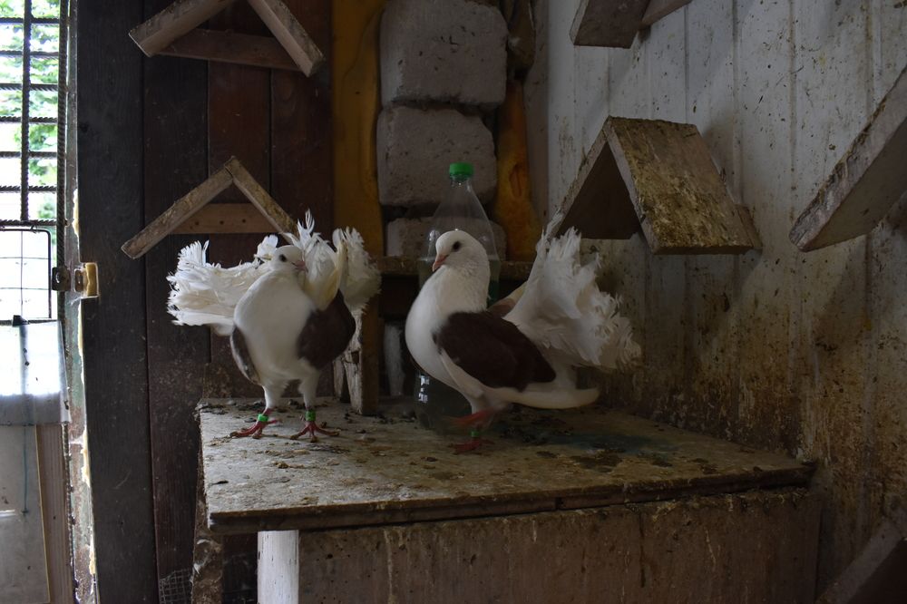 Photograph by Мария Бартош