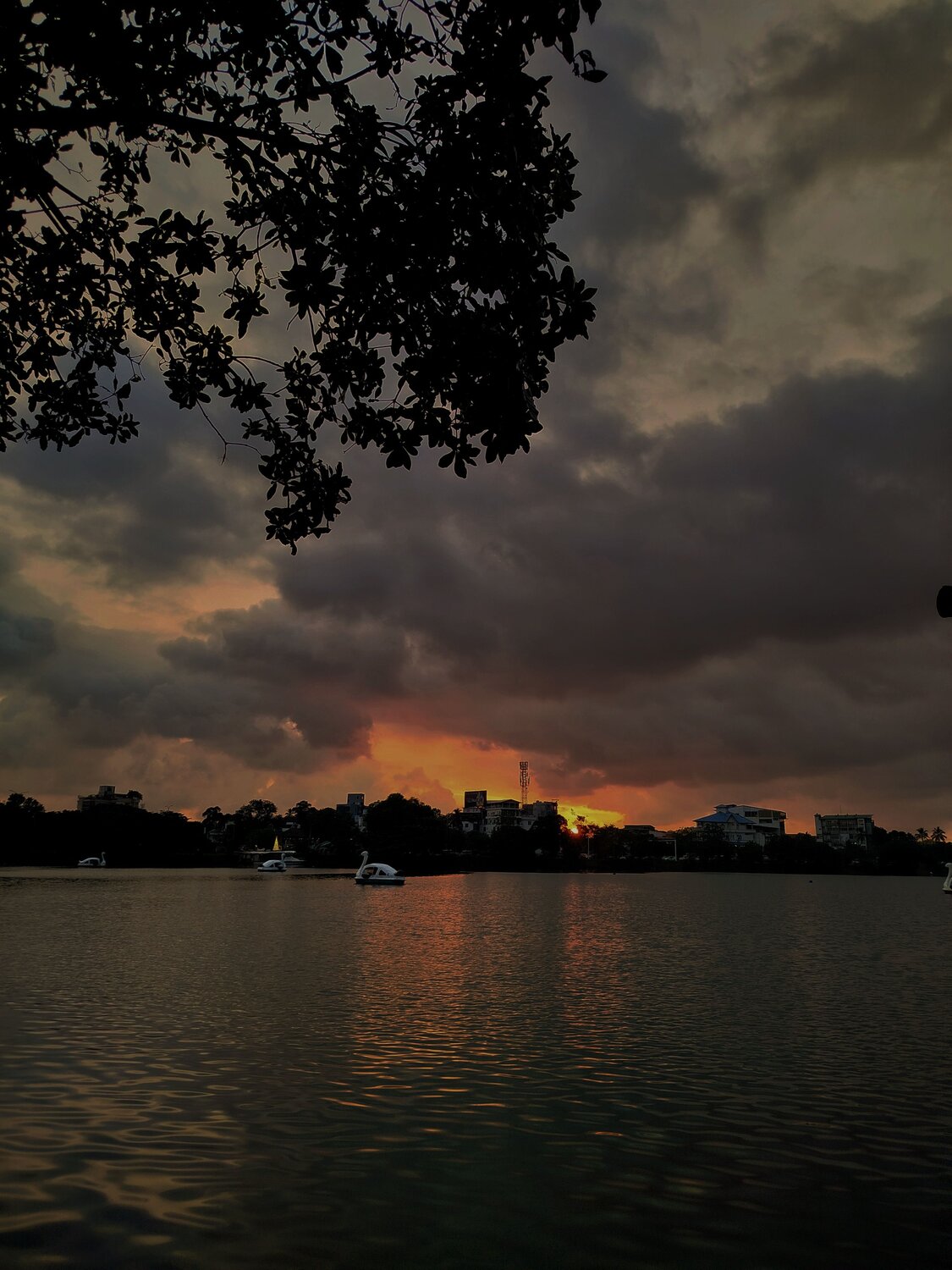 Photo #11984547