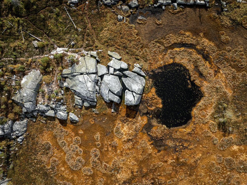 Photograph by vladimir