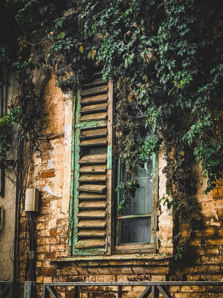 Фотография автора Олеся Николаевна