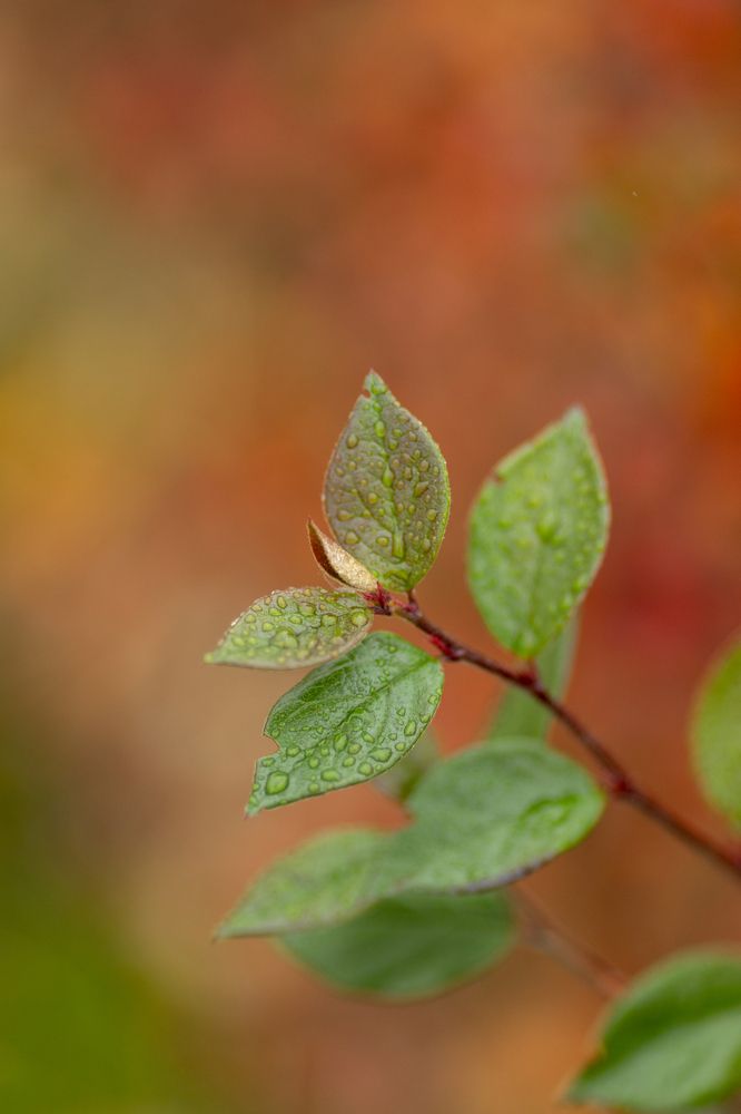 Photograph by Ольга Петрова