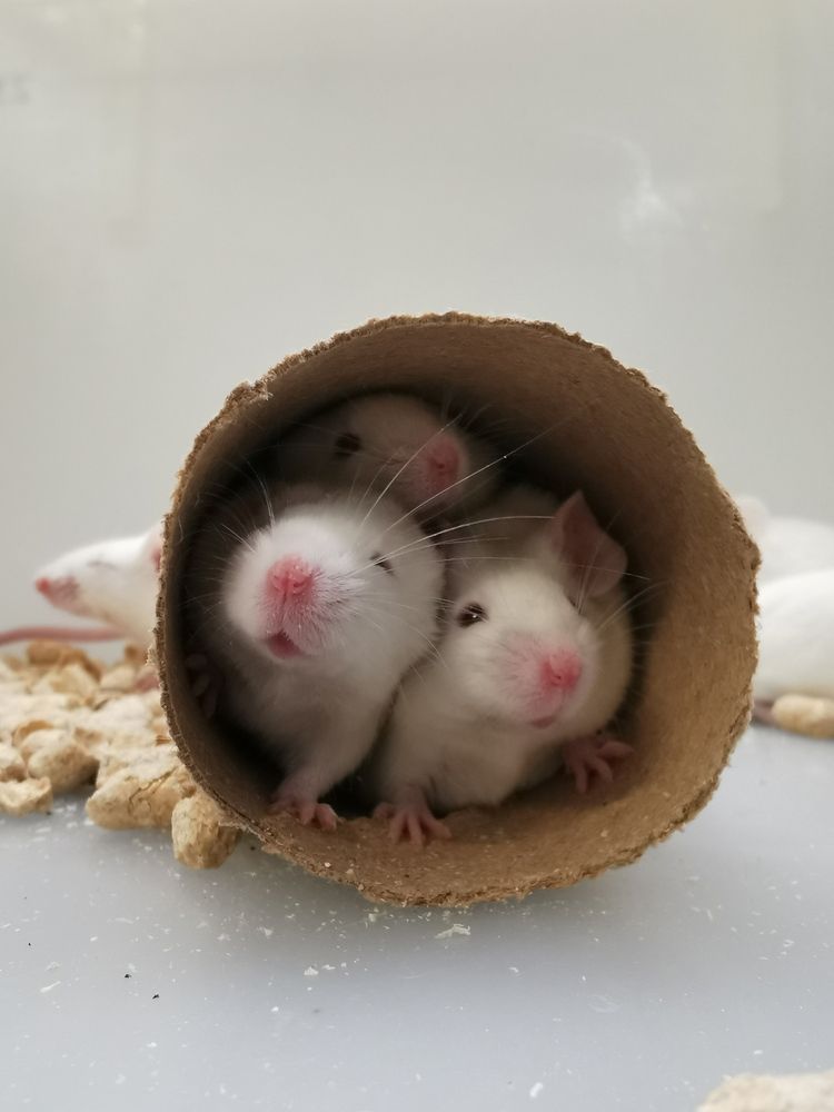 Photograph by Мария Бартош