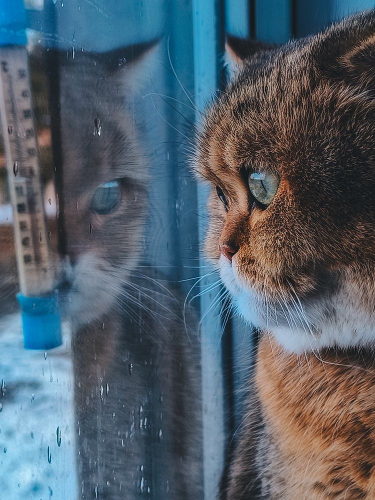 Photograph by Катрина Покумейко