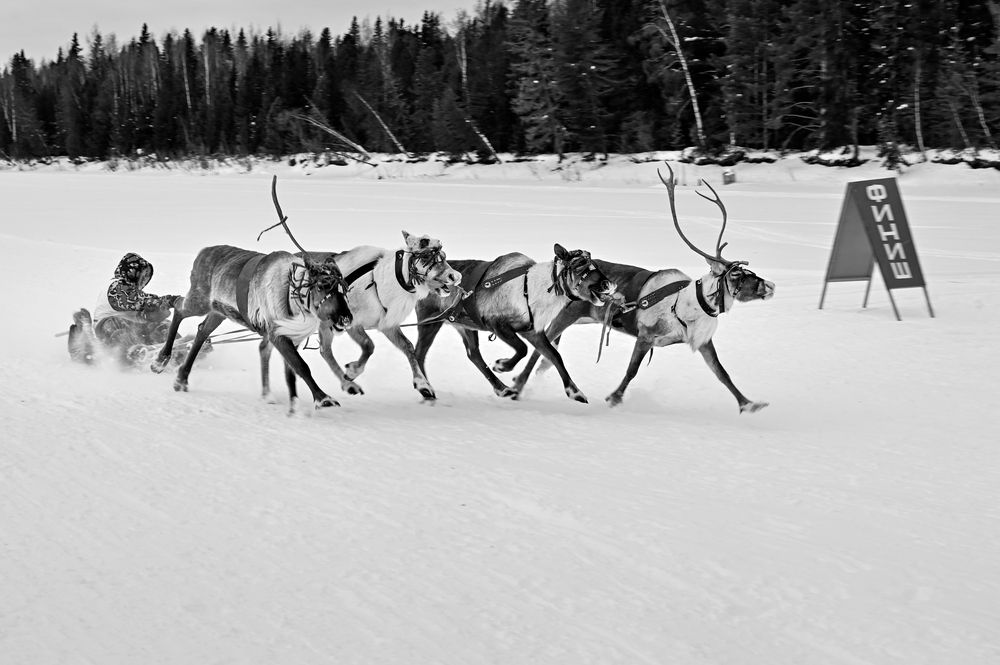 Photograph by Татьяна Борисова