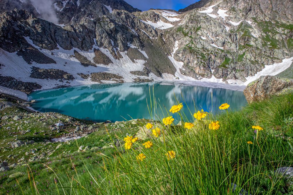 Фотография автора Кристина Горяйнова