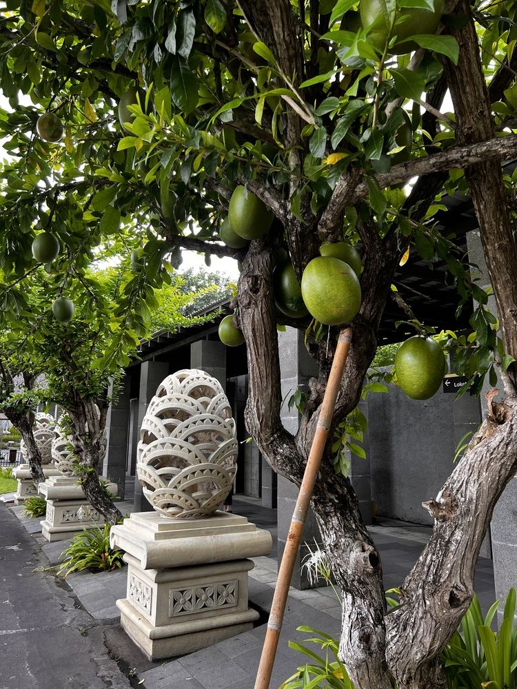 Photograph by Ирина