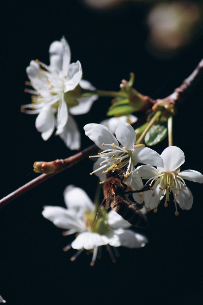 Photograph by Ригина Айдель