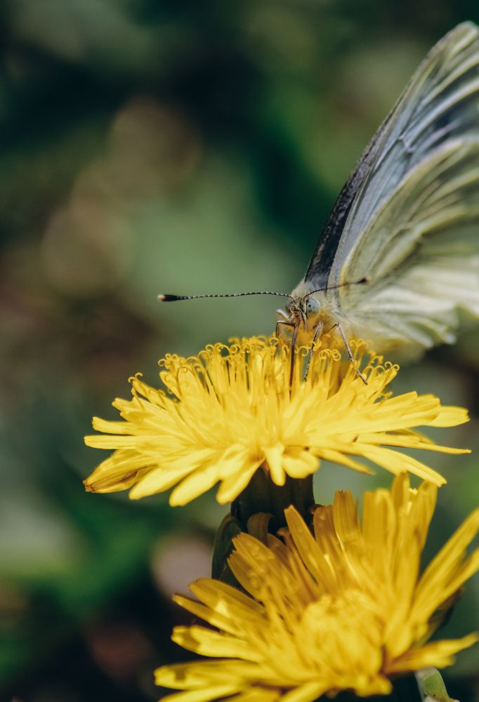 Photograph by Ригина Айдель