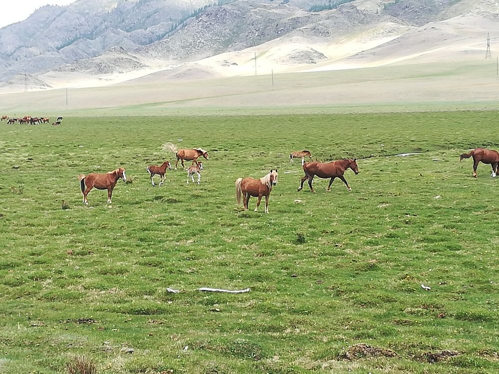 Photograph by Dkflbvbh