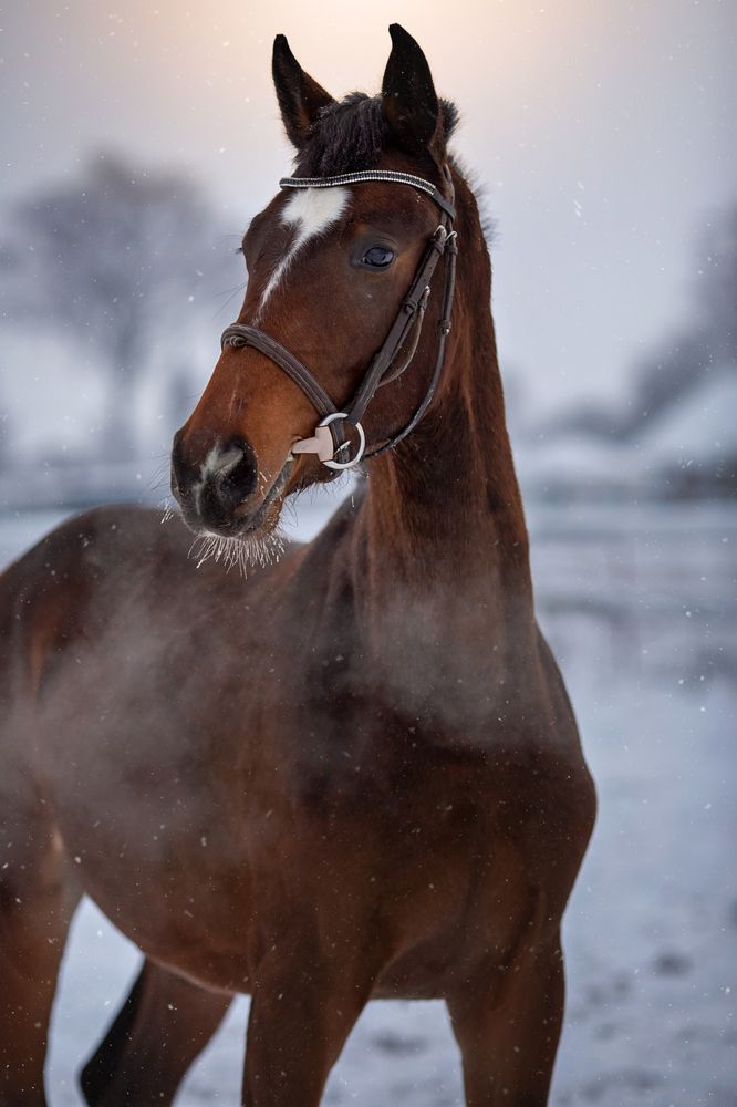 Photograph by Ирина Казанцева