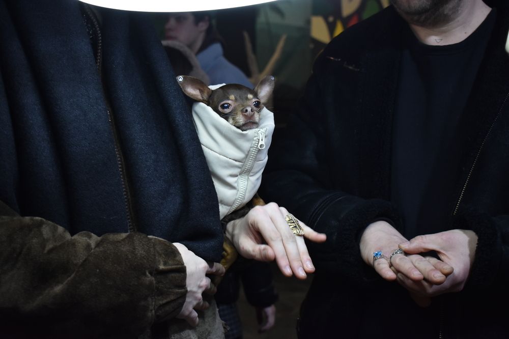 Photograph by Мария Бартош