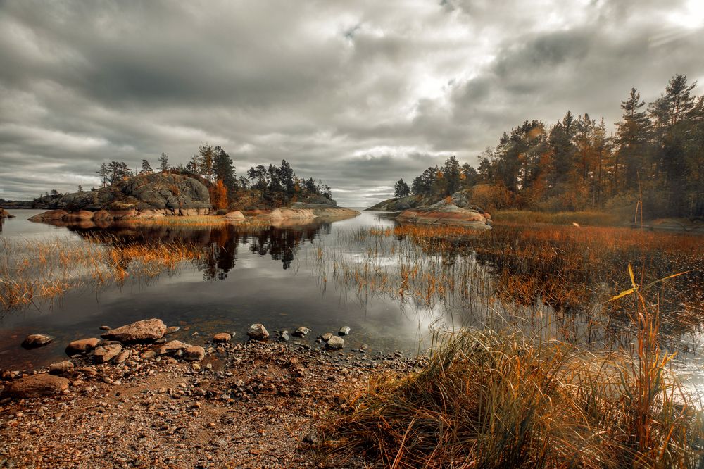 Фотография автора Онучина Юлия
