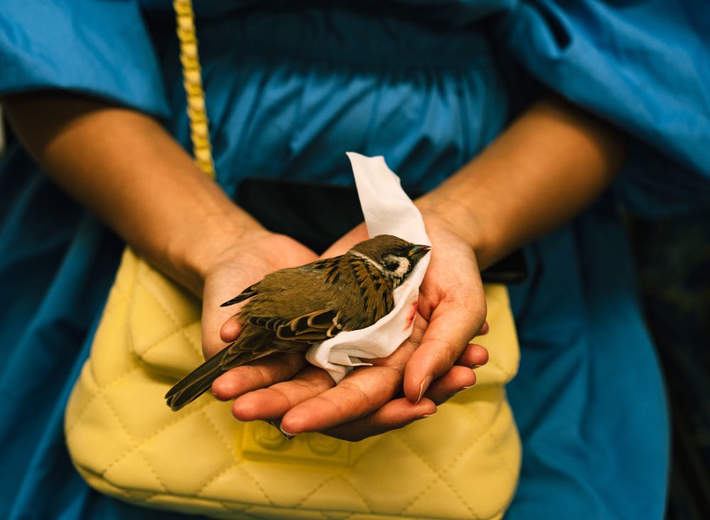 Photograph by Василий Клейменов