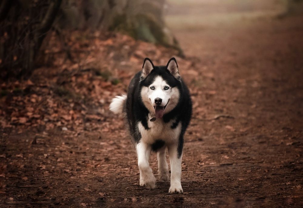 Photograph by Ірина Харитонова