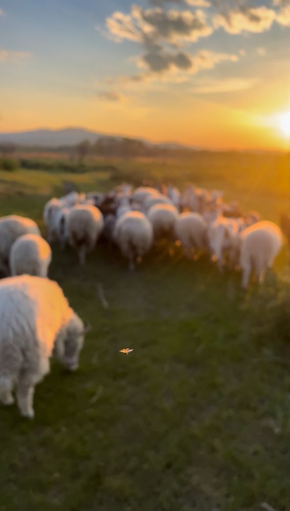 Photograph by Ольга Кондакова