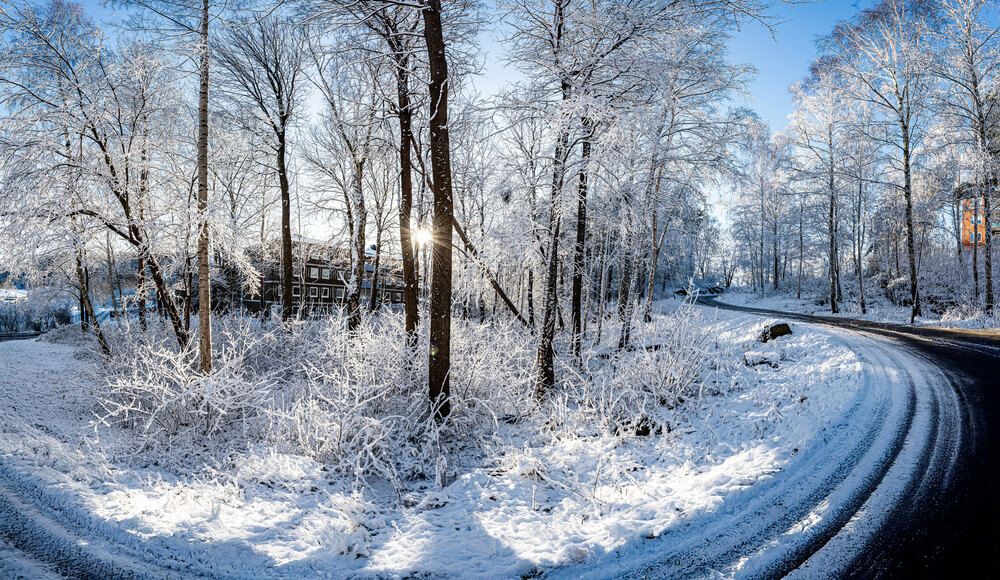 Фотография автора Ramin Barzegar