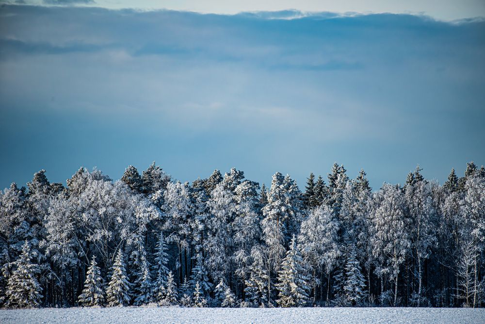 Фотография автора Ramin Barzegar