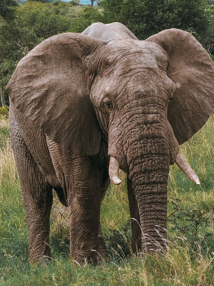 Photograph by Natalia Kolenko