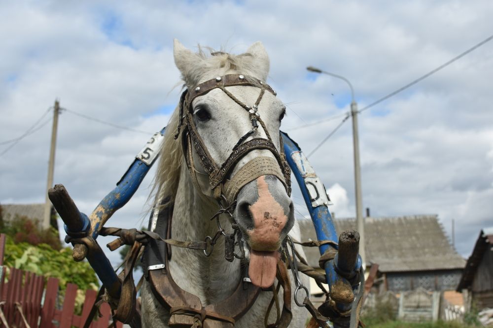 Photograph by Мария Бартош