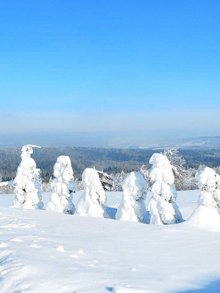 Photograph by Ирина