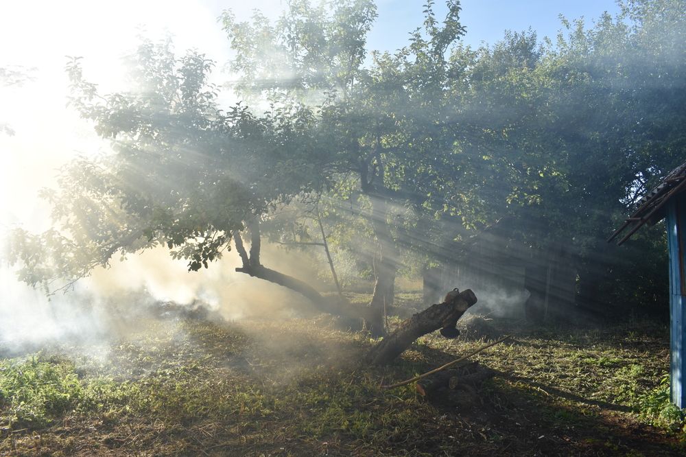 Photograph by Мария Бартош