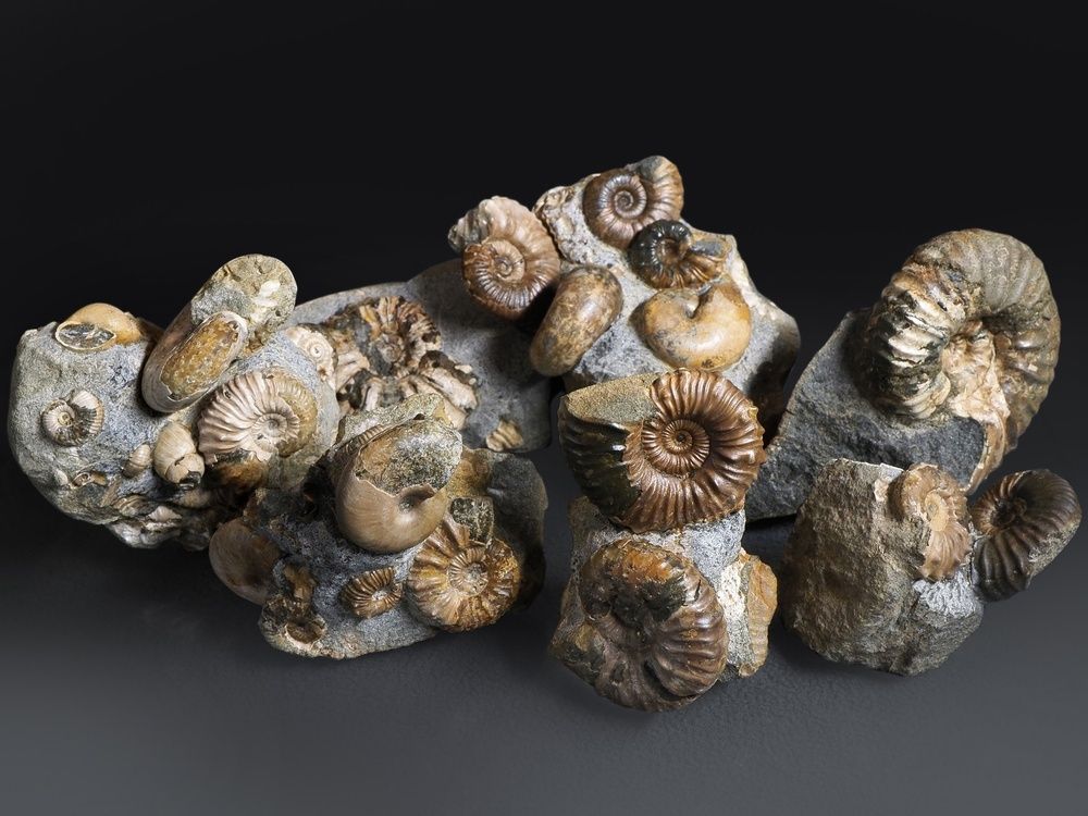 Photograph by Алексей Поляков