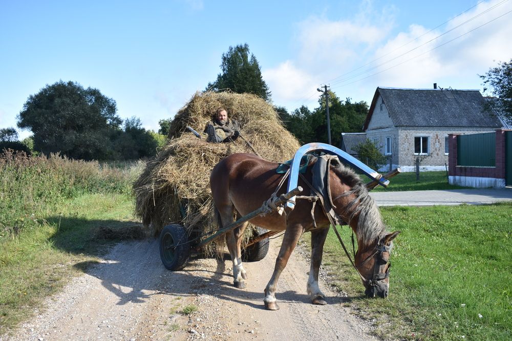 Photograph by Мария Бартош