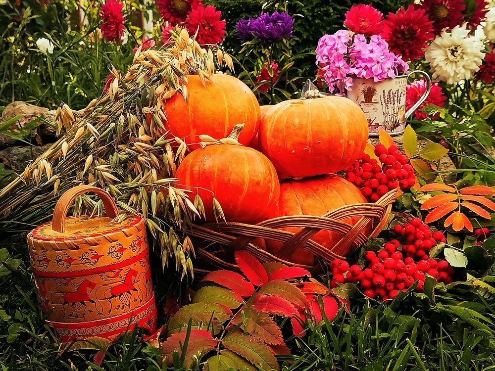 Photograph by Татьяна Бешенкина