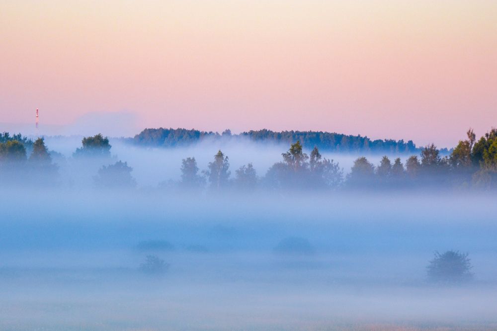 Photograph by Анастасия Гурова