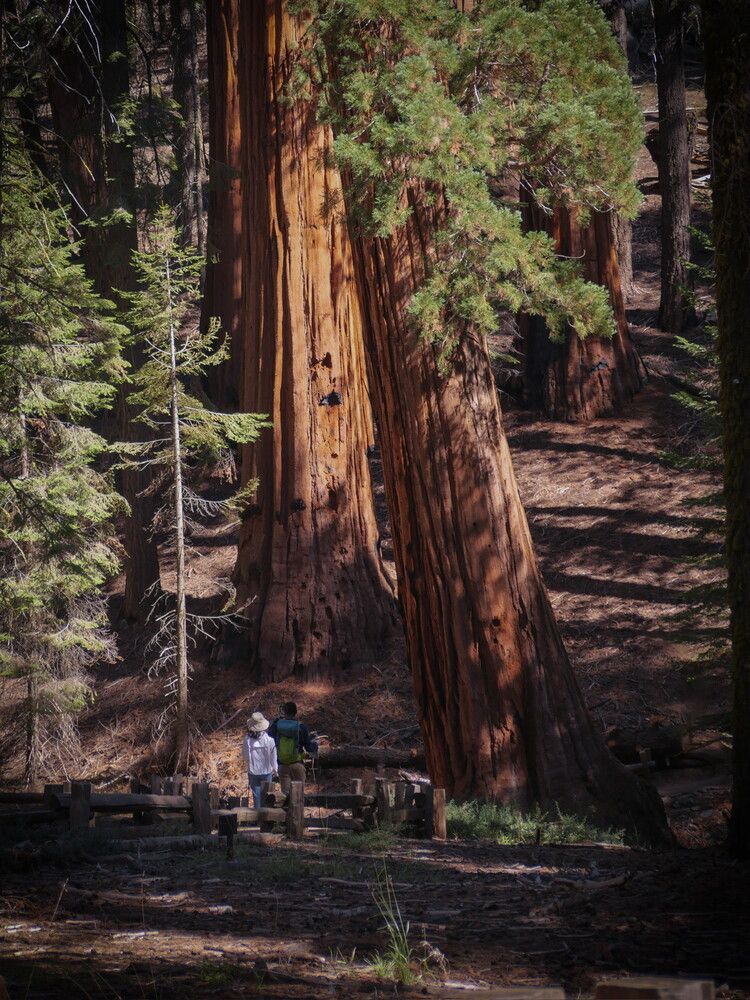 Photograph by Людмила Ярош