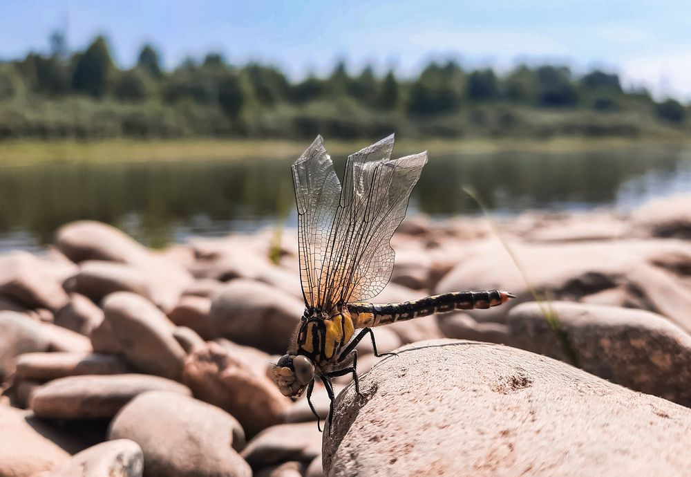 Photograph by Ксения Моськина