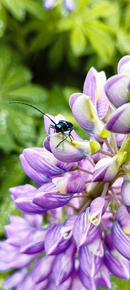 Photograph by Ксения Моськина