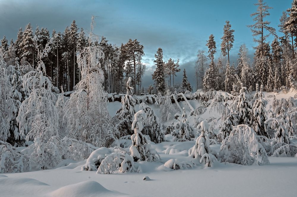 Photograph by Татьяна Борисова