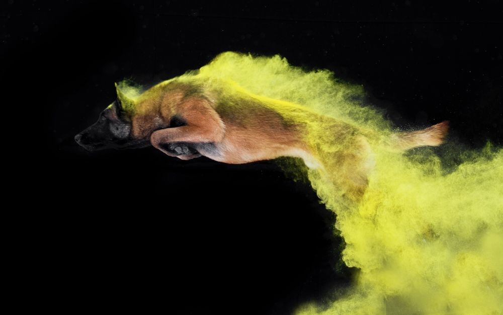 Photograph by Жанна Дандыбаева