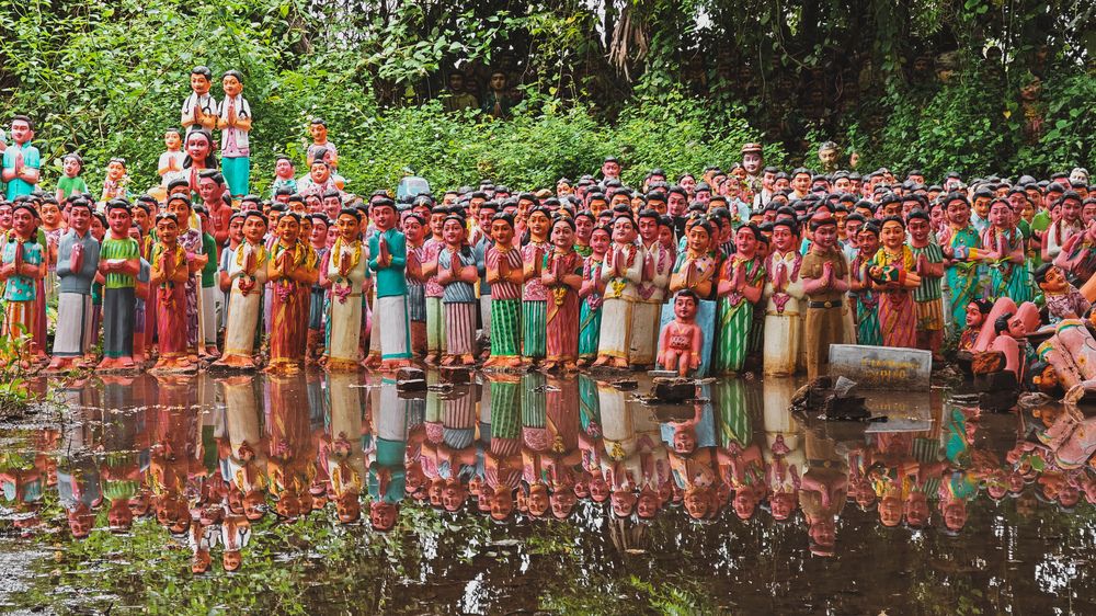 Photograph by PRABAGARAN V