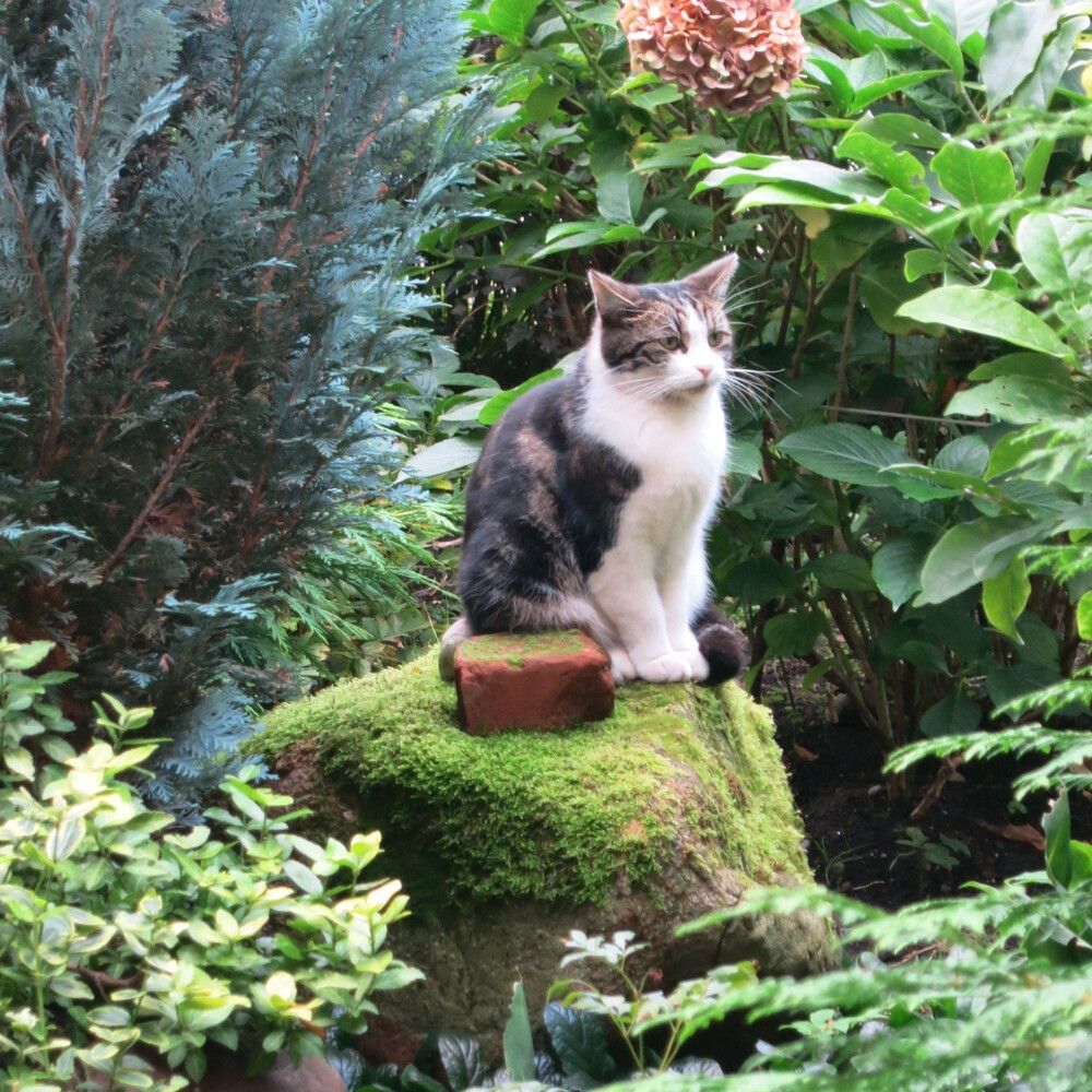 Photograph by Ирина Шведчикова