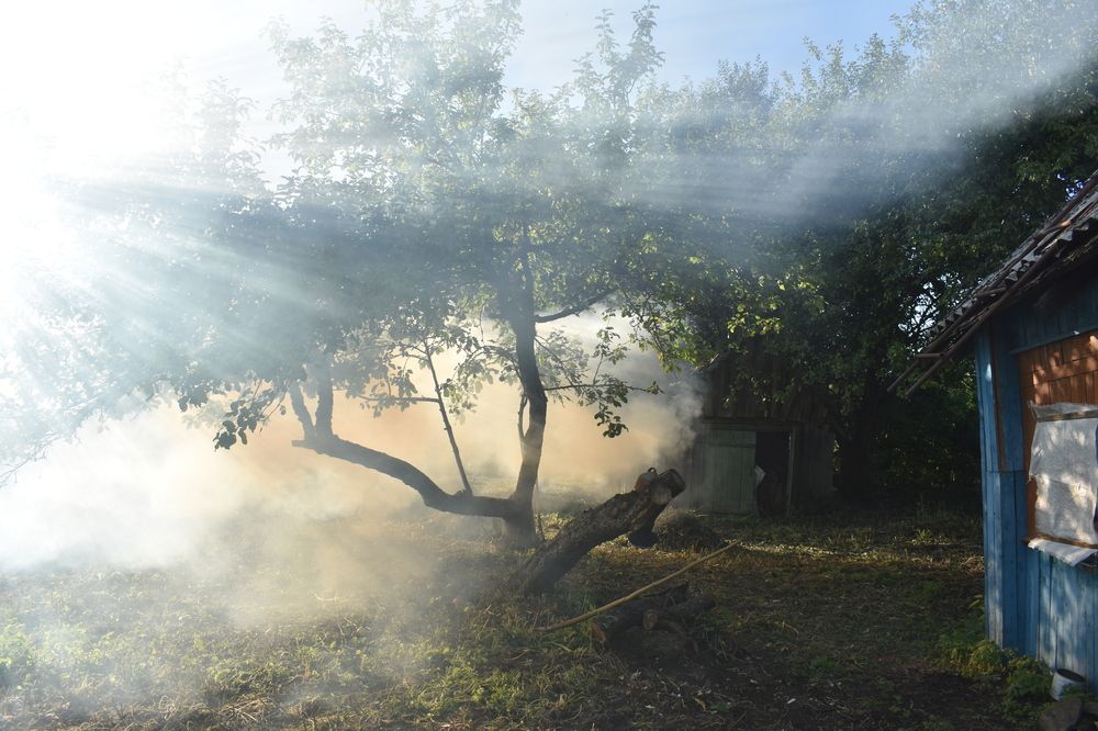 Photograph by Мария Бартош