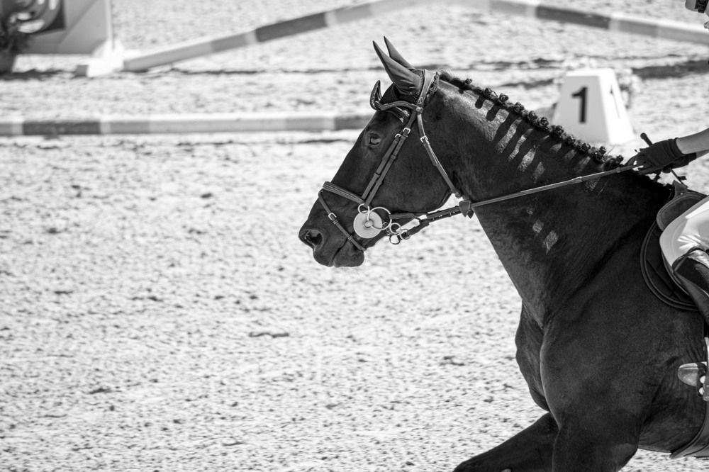 Photograph by Stephanie Michaud