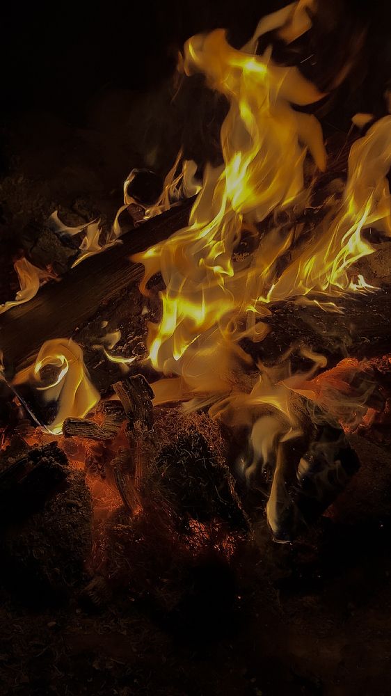 Photograph by Мария Карпычева