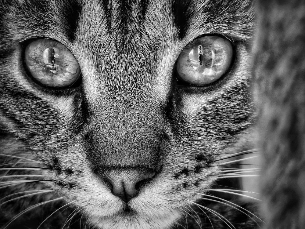 Photograph by Stephanie Michaud