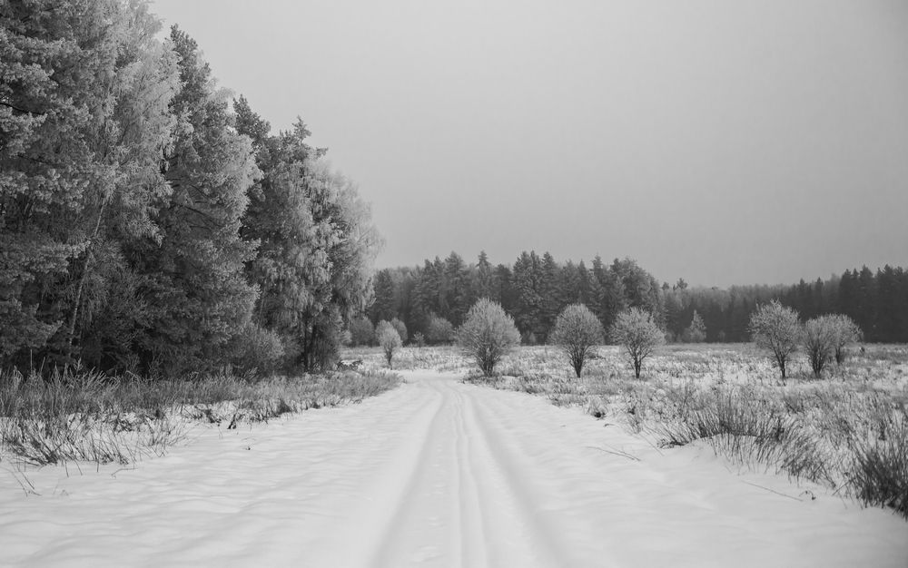 Фотография автора Вадим Лабитов