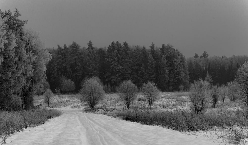Фотография автора Вадим Лабитов