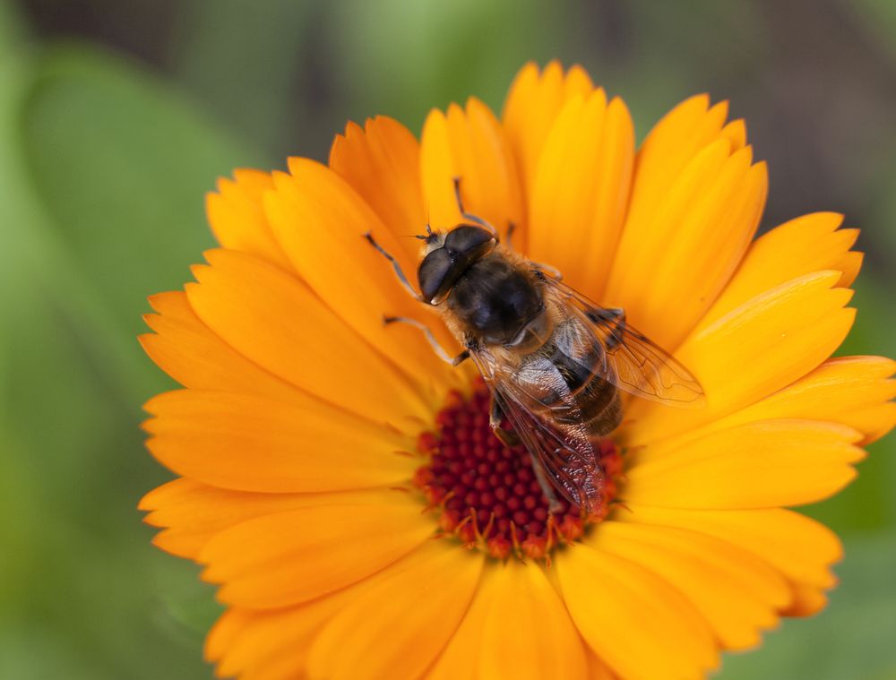 Photograph by Татьяна