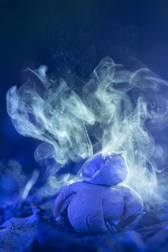 Photograph by Пронин Денис