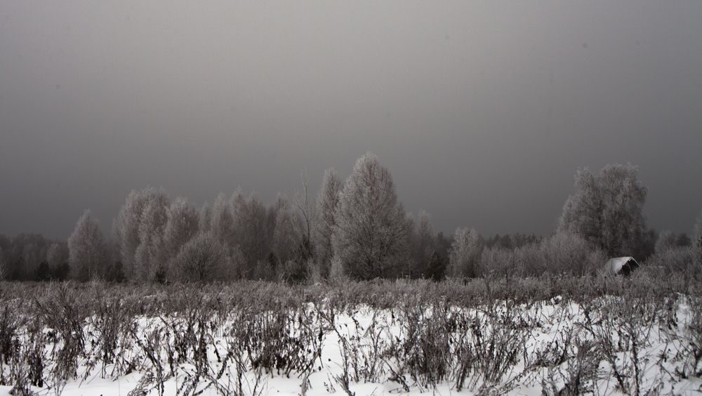 Фотография автора Вадим Лабитов