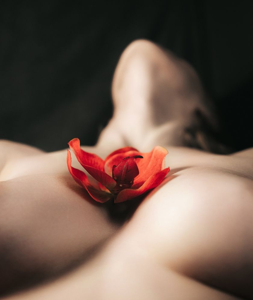 Фотография автора Алексей Селин