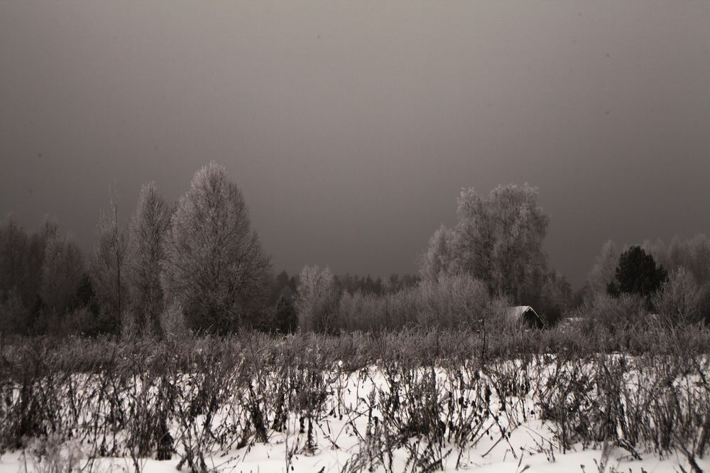 Фотография автора Вадим Лабитов